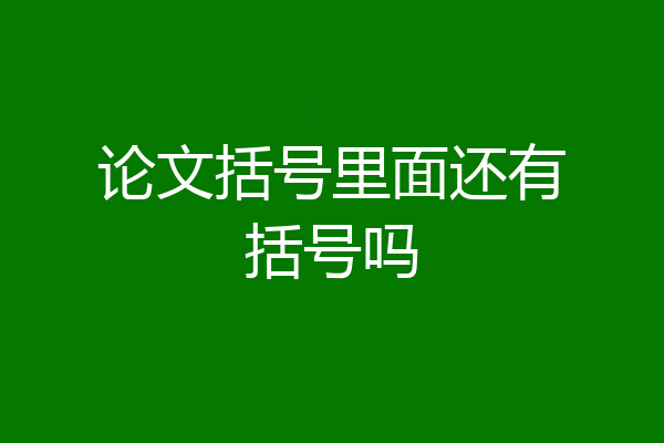 论文括号里面还有括号吗