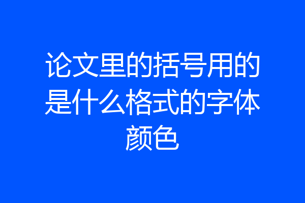 论文里的括号用的是什么格式的字体颜色