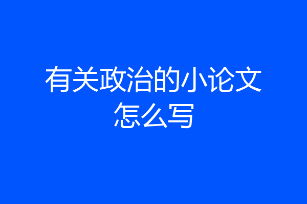 有关政治的小论文怎么写