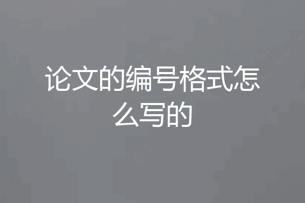 论文的编号格式怎么写的