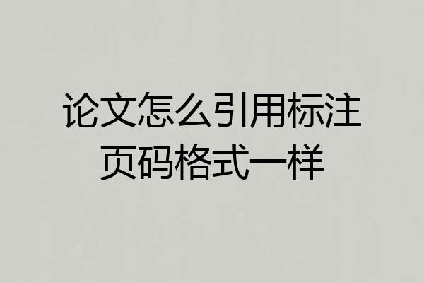 论文怎么引用标注页码格式一样