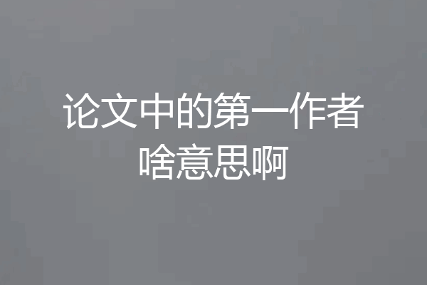 论文中的第一作者啥意思啊
