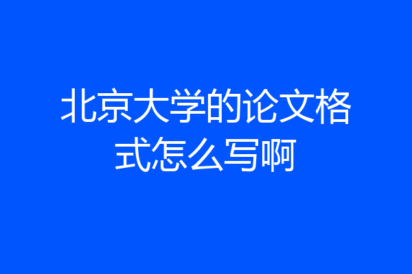 北京大学的论文格式怎么写啊