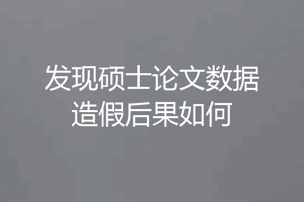 发现硕士论文数据造假后果如何