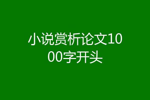 小说赏析论文1000字开头
