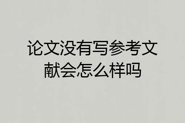 论文没有写参考文献会怎么样吗