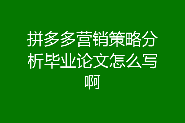 拼多多营销策略分析毕业论文怎么写啊