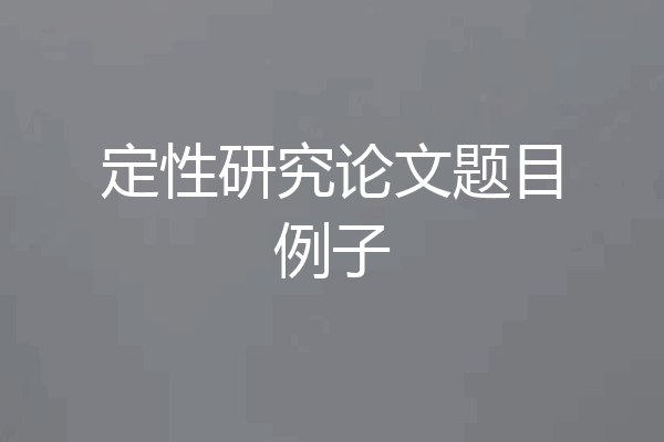 定性研究论文题目例子