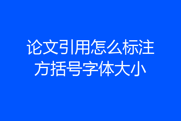 论文引用怎么标注方括号字体大小