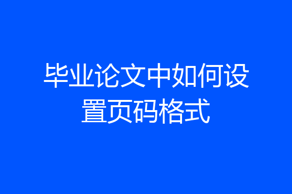 毕业论文中如何设置页码格式