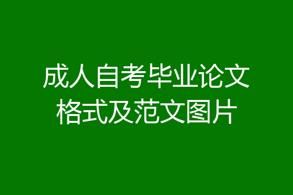 成人自考毕业论文格式及范文图片
