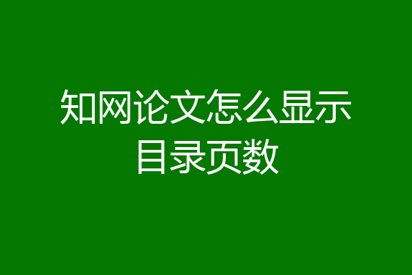 知网论文怎么显示目录页数