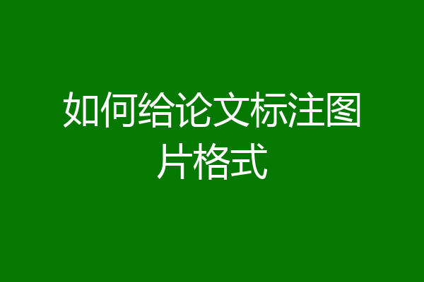 如何给论文标注图片格式