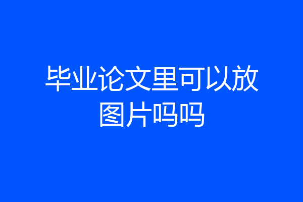 毕业论文里可以放图片吗吗