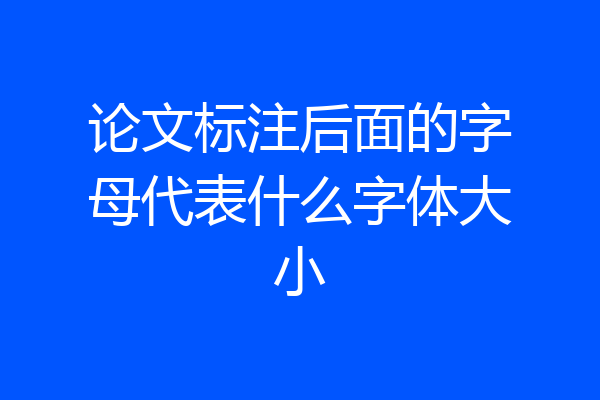 论文标注后面的字母代表什么字体大小