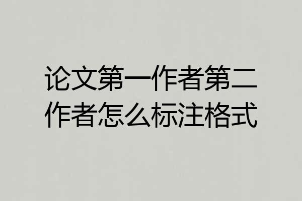 论文第一作者第二作者怎么标注格式