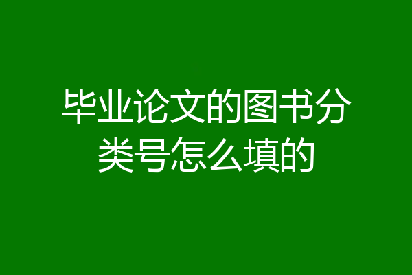 毕业论文的图书分类号怎么填的