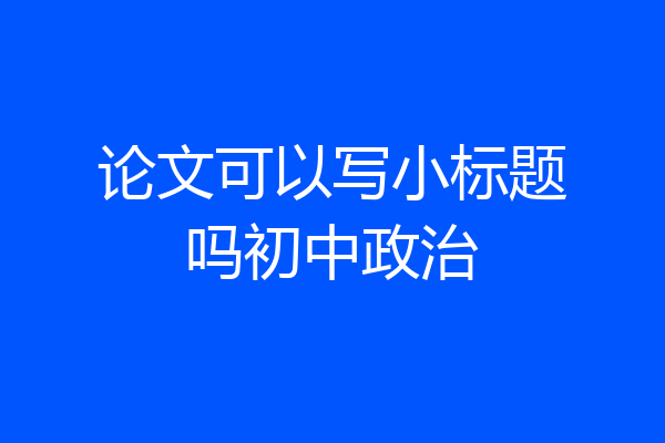 论文可以写小标题吗初中政治