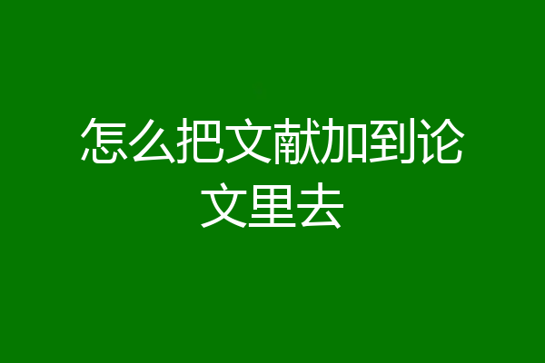 怎么把文献加到论文里去