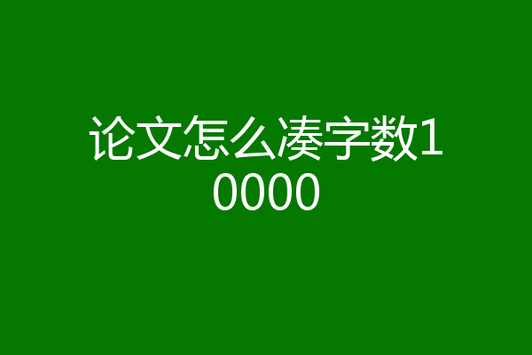 论文怎么凑字数10000