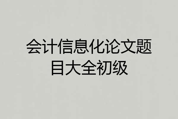 会计信息化论文题目大全初级