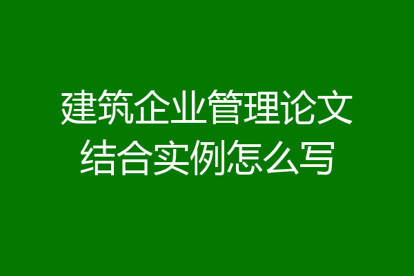 建筑企业管理论文结合实例怎么写