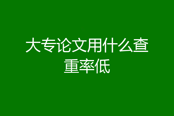 大专论文用什么查重率低