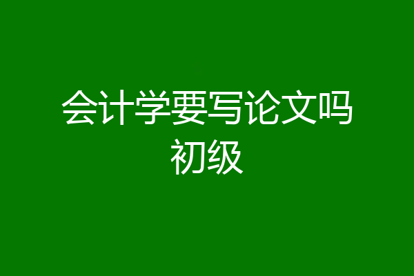 会计学要写论文吗初级