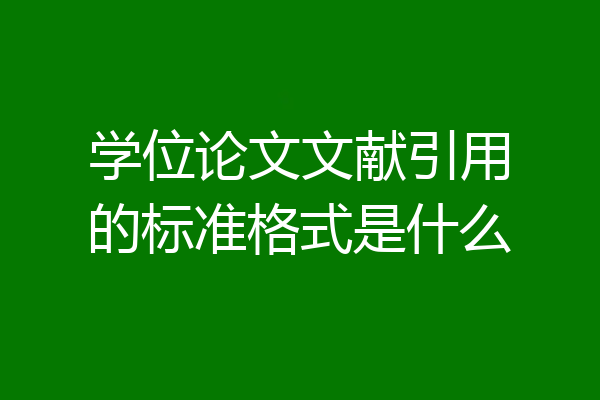 学位论文文献引用的标准格式是什么