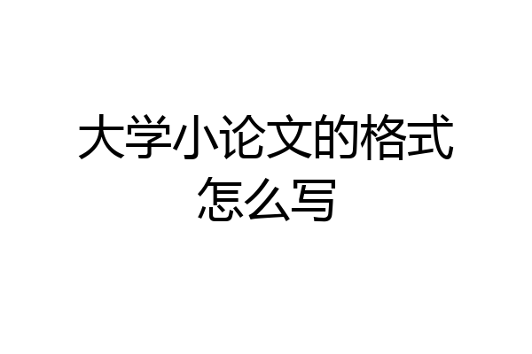 大学小论文的格式怎么写