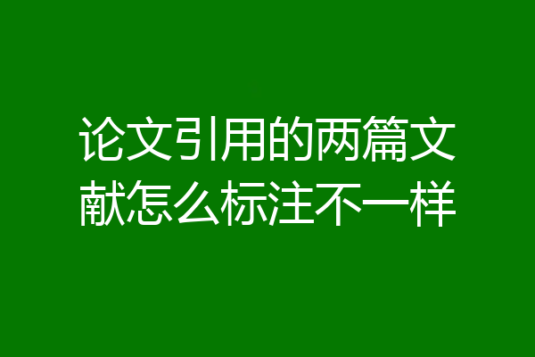 论文引用的两篇文献怎么标注不一样