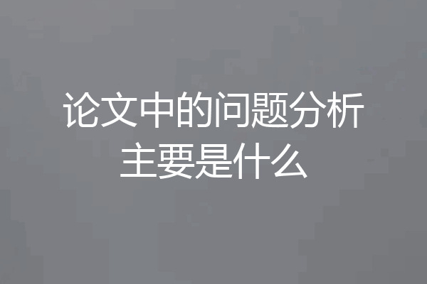 论文中的问题分析主要是什么