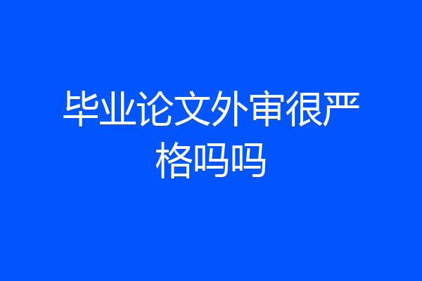 毕业论文外审很严格吗吗