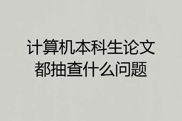 计算机本科生论文都抽查什么问题