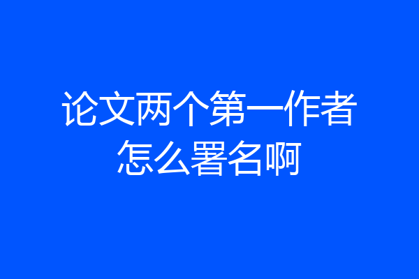 论文两个第一作者怎么署名啊