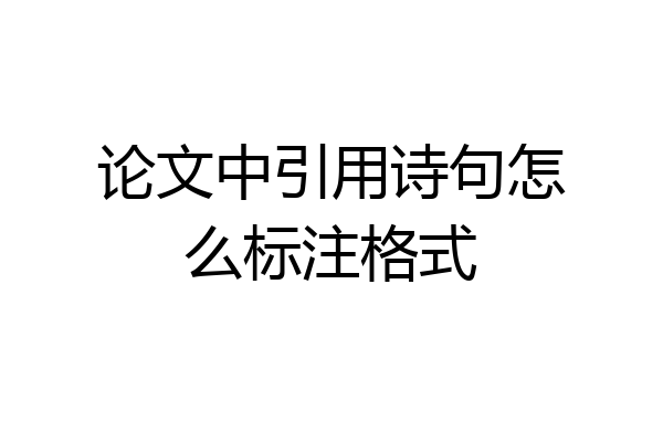 论文中引用诗句怎么标注格式