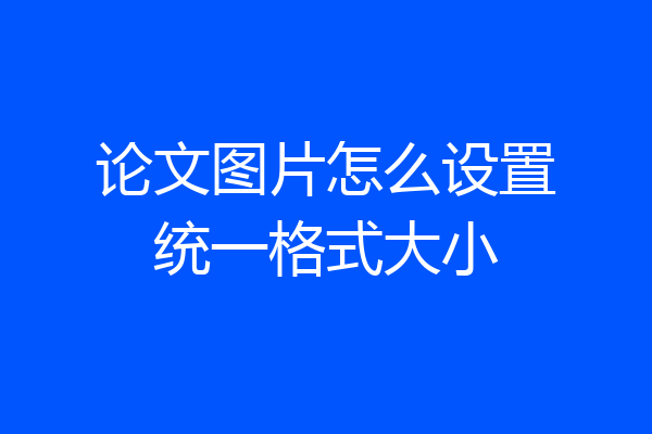 论文图片怎么设置统一格式大小