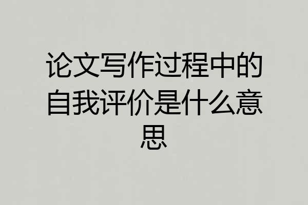 论文写作过程中的自我评价是什么意思