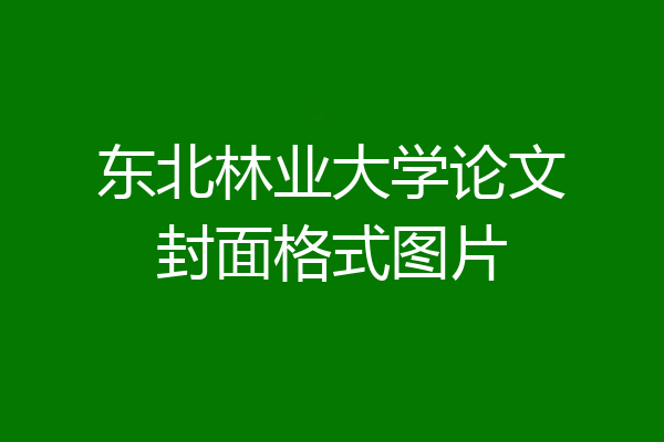 东北林业大学论文封面格式图片