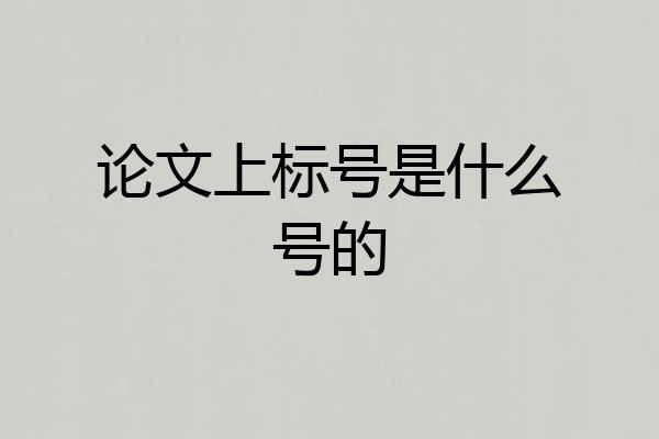 论文上标号是什么号的
