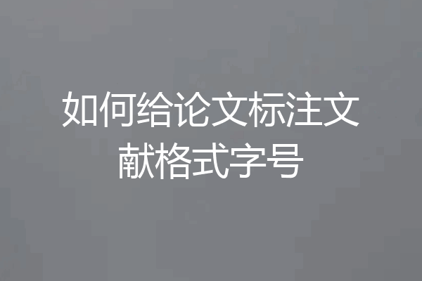 如何给论文标注文献格式字号