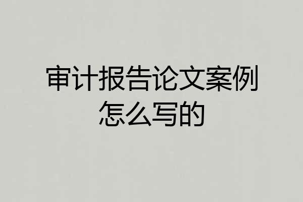 审计报告论文案例怎么写的