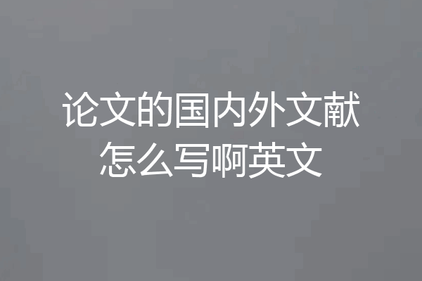 论文的国内外文献怎么写啊英文