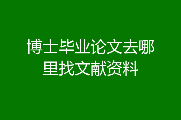 博士毕业论文去哪里找文献资料