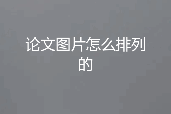 论文图片怎么排列的