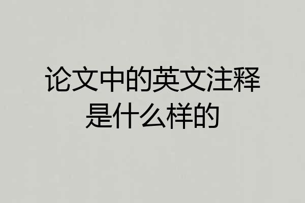 论文中的英文注释是什么样的