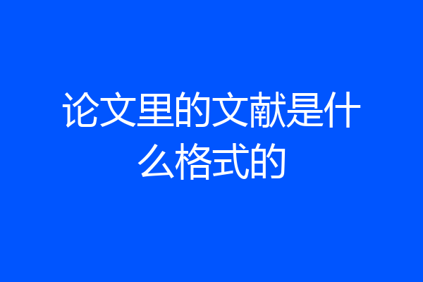 论文里的文献是什么格式的