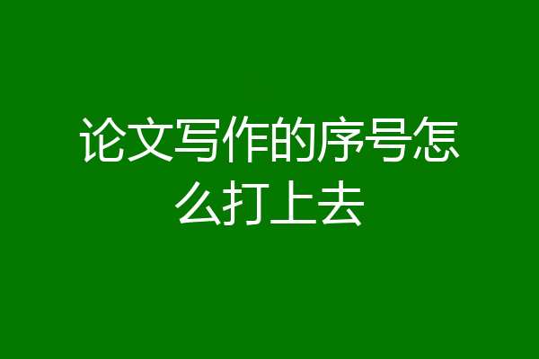 论文写作的序号怎么打上去