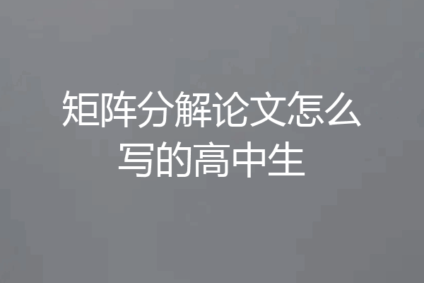 矩阵分解论文怎么写的高中生