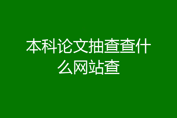 本科论文抽查查什么网站查